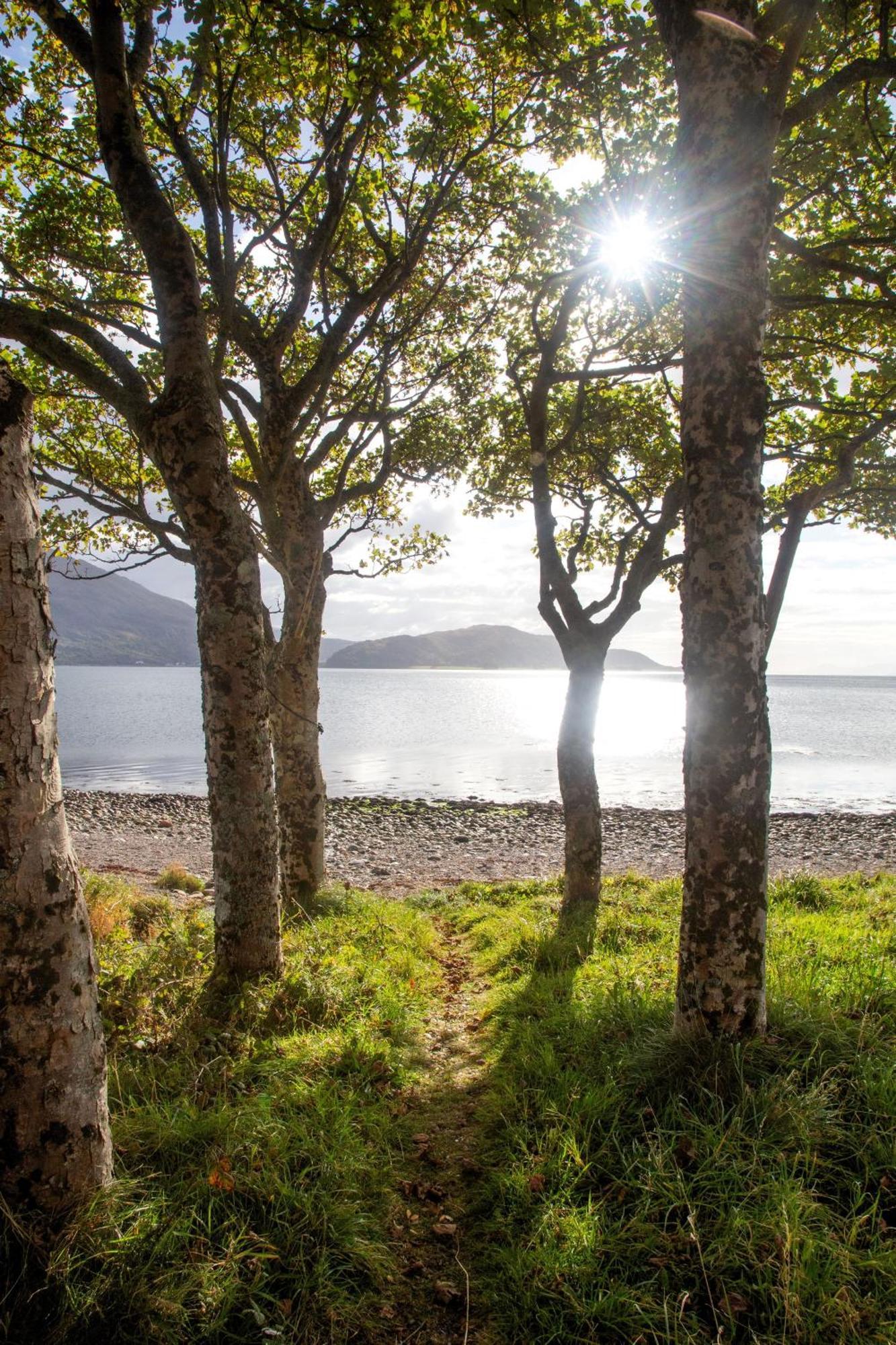 Ash, Birch And Rowan Self Catering Cabins Onich Esterno foto